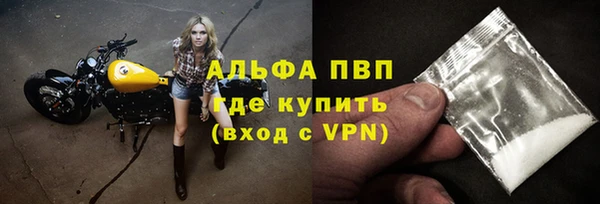 шишки Богородицк