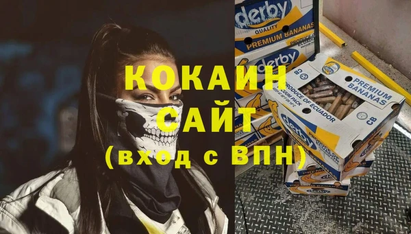 шишки Богородицк