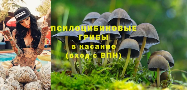 скорость Бронницы