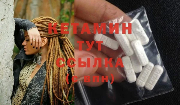 шишки Богородицк