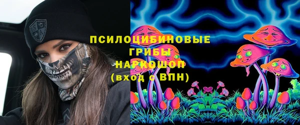 ГАЛЛЮЦИНОГЕННЫЕ ГРИБЫ Богданович