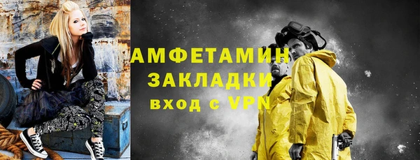 ГАЛЛЮЦИНОГЕННЫЕ ГРИБЫ Богданович