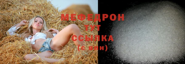 ГАЛЛЮЦИНОГЕННЫЕ ГРИБЫ Богданович