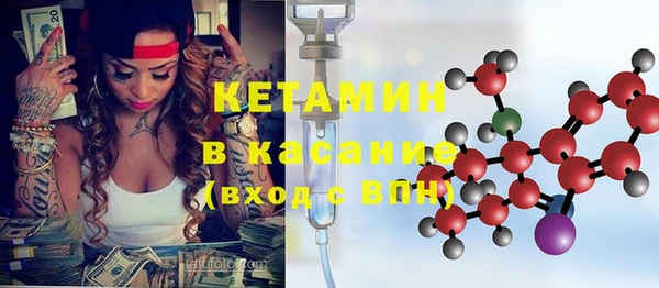 шишки Богородицк