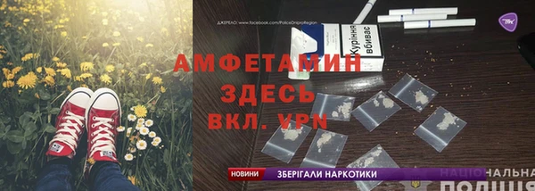 ECSTASY Бородино