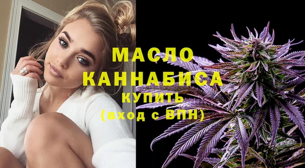 ECSTASY Бородино